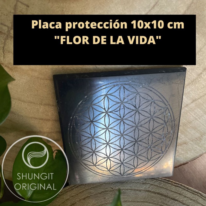 PLACA PROTECTORA 10x10 FLOR DE LA VIDA