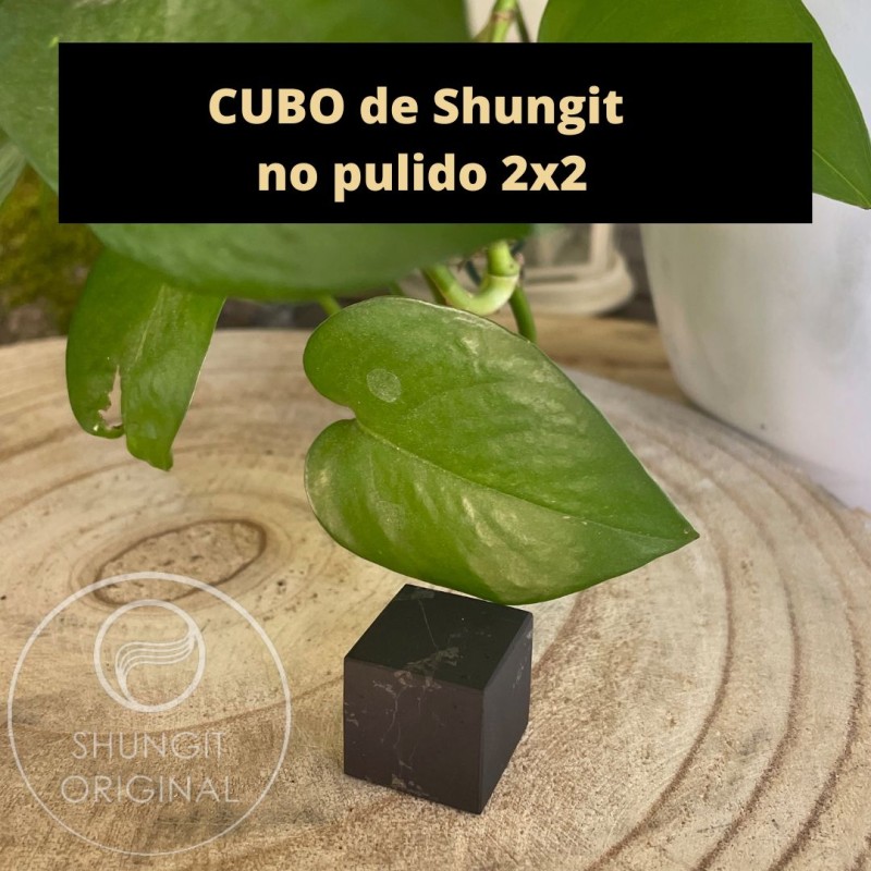 CUBO de SHUNGIT 2x2cm