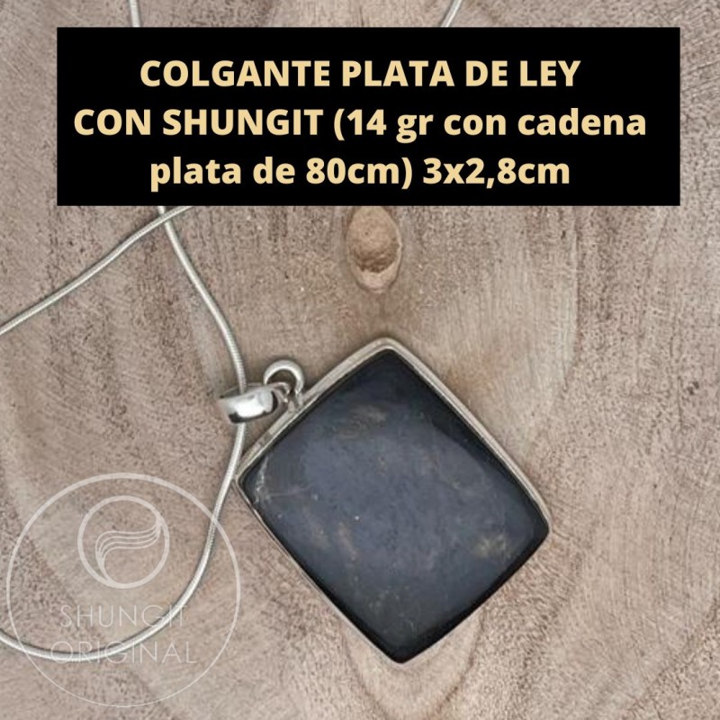 COLGANTE plata Shungit Pegaso