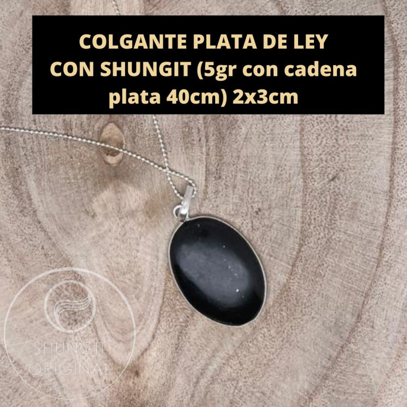 COLGANTE de plata Procyon